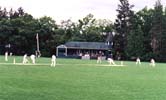 Cathedral Cricket Club